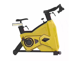 Exercise Bikes
