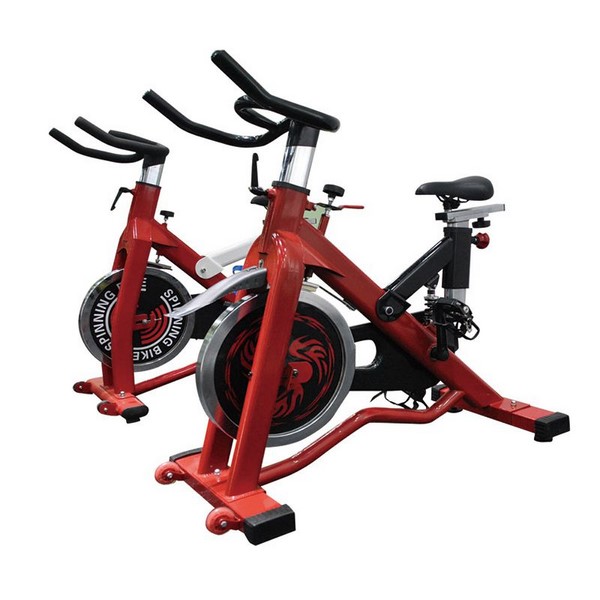 D01 Spin Bike