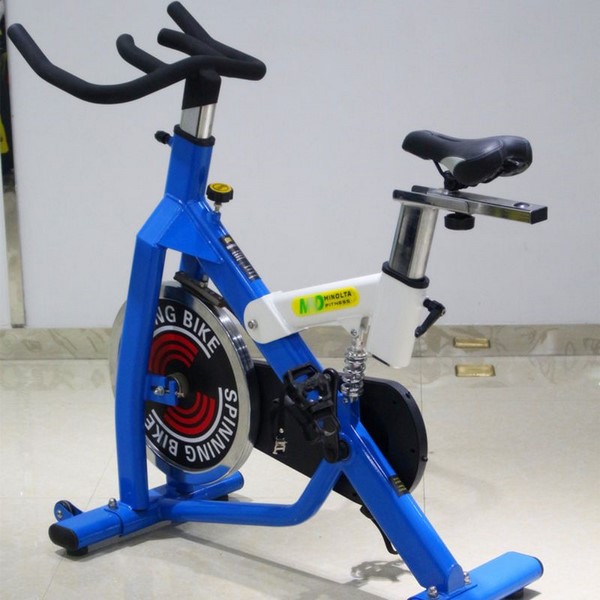 D01 Spin Bike