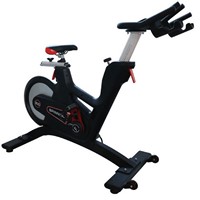 D02 Magnetic Spin Bike