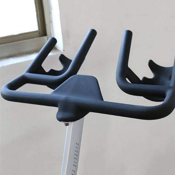 D01 Spin Bike
