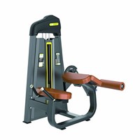 F01 Prone Leg Curl