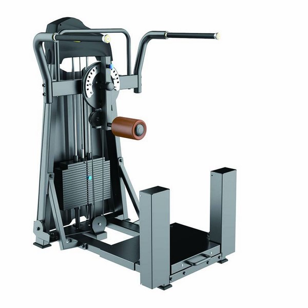 F11 Hip and Glute Machine