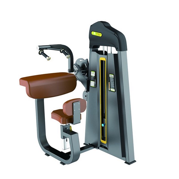 F27 Triceps Extension Machine