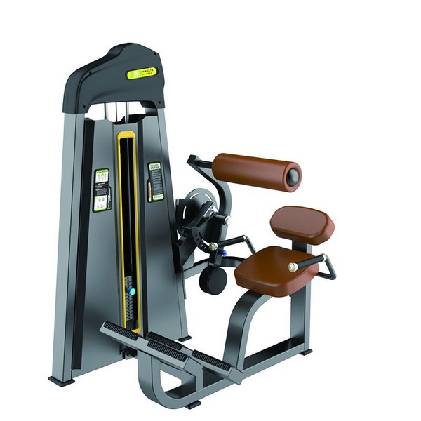 F31 Back Extension Machine