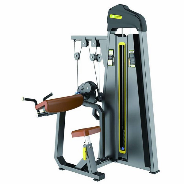 F86 Bicep Curl/Tricep Extension Machine