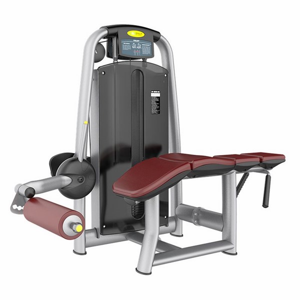 AN37 Prone Leg Curl