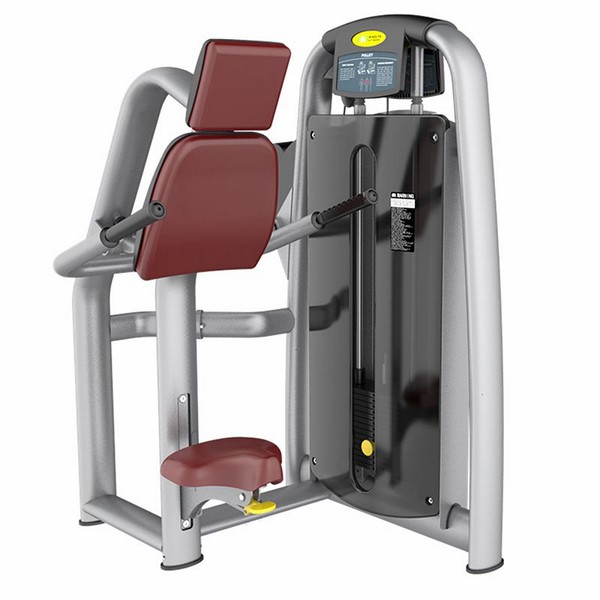 AN49 Seated Dip Machine