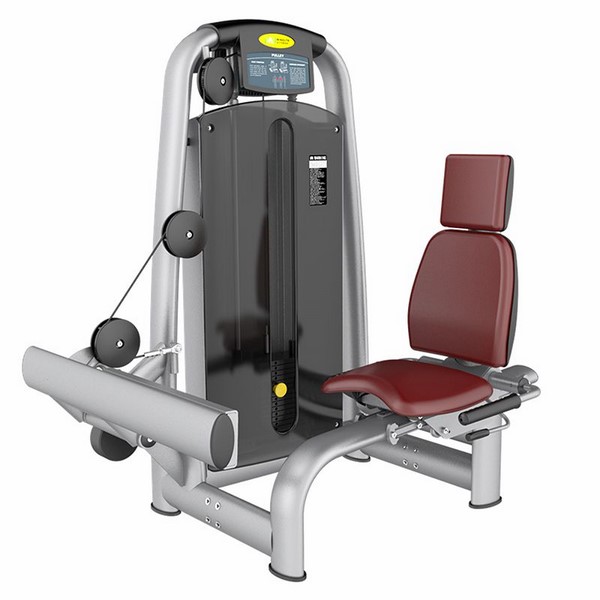 AN53 Calf Extension Machine