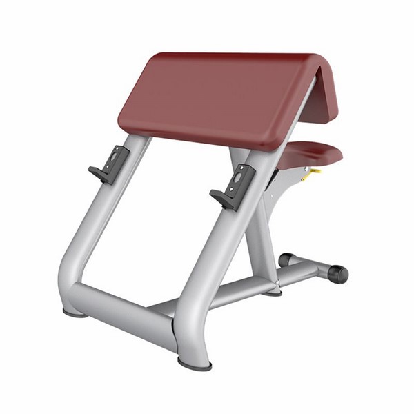 AN13 Preacher Curl Bench