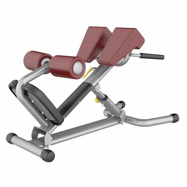 AN73 Adjustable Roman Chair