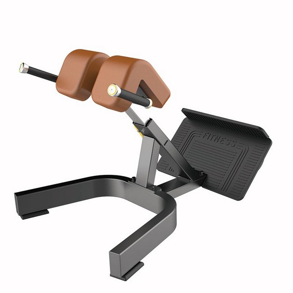 F45 Roman Chair