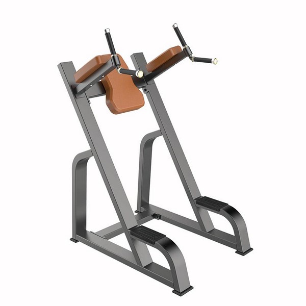 F47 Vertical Knee Raise