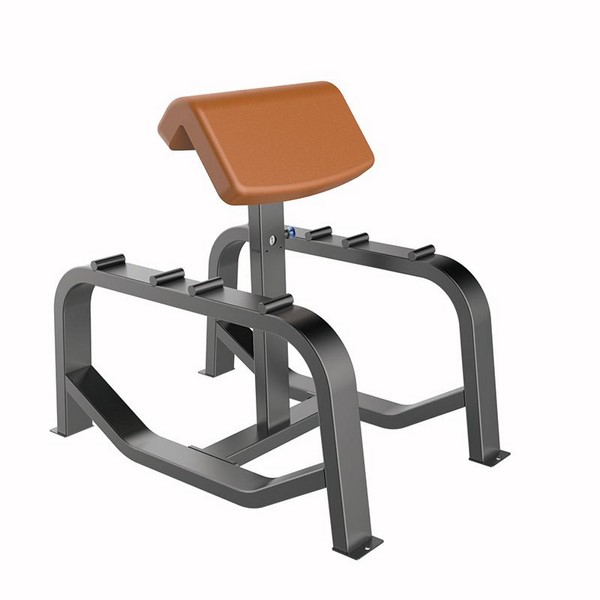 F96 Standing Preacher Curl