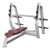 AN52 Olympic Flat Bench