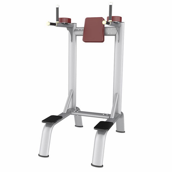 AN58 Vertical Knee Raise