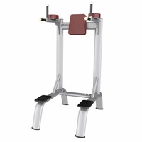 AN58 Vertical Knee Raise