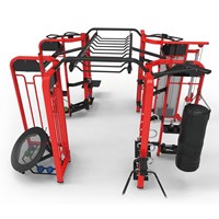 Functional Training Rig