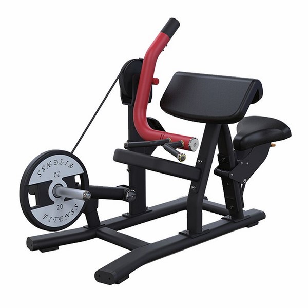 PL05 Biceps Curl