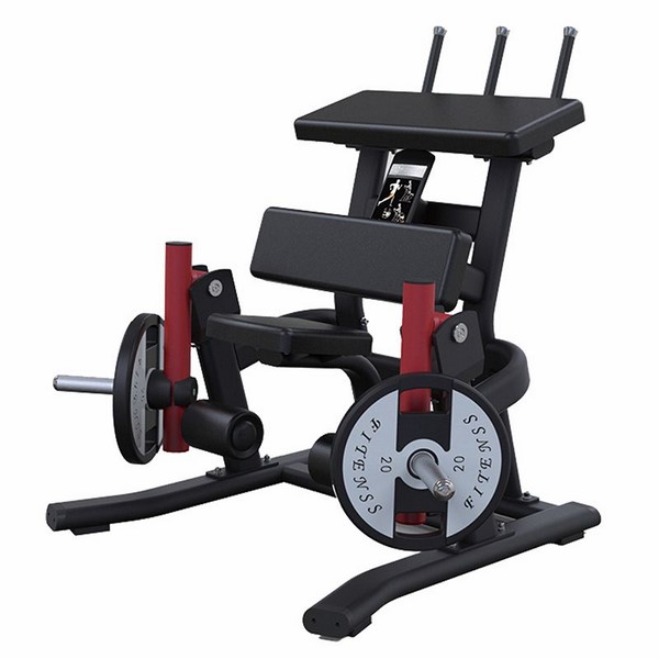 PL09 Leg Curl