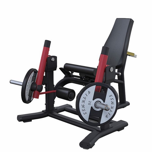 PL10 Leg Extension