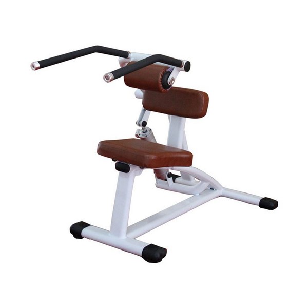 H09 Ab Crunch/Back Extension