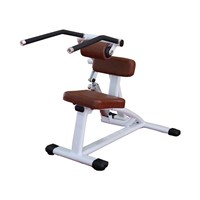 H09 Ab Crunch/Back Extension