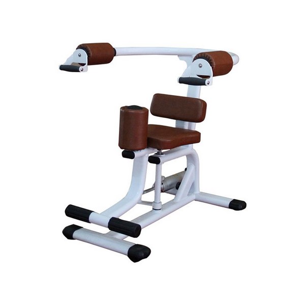 H10 Rotary Torso