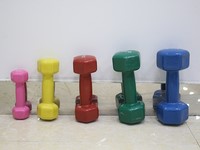 WG065 Vinyl Dumbbell