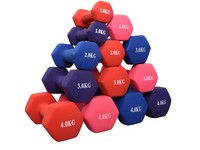 WG066 Vinyl Dumbbell