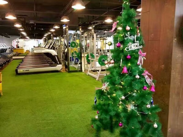 Gym Equipment Project in Taiwan