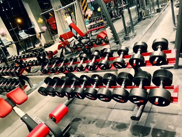 Gym Equipment Project in Indonesian