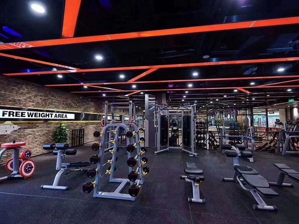 Gym Equipment Project in Algeria